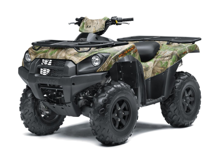 Brute Force 750 4x4i EPS Camo<
